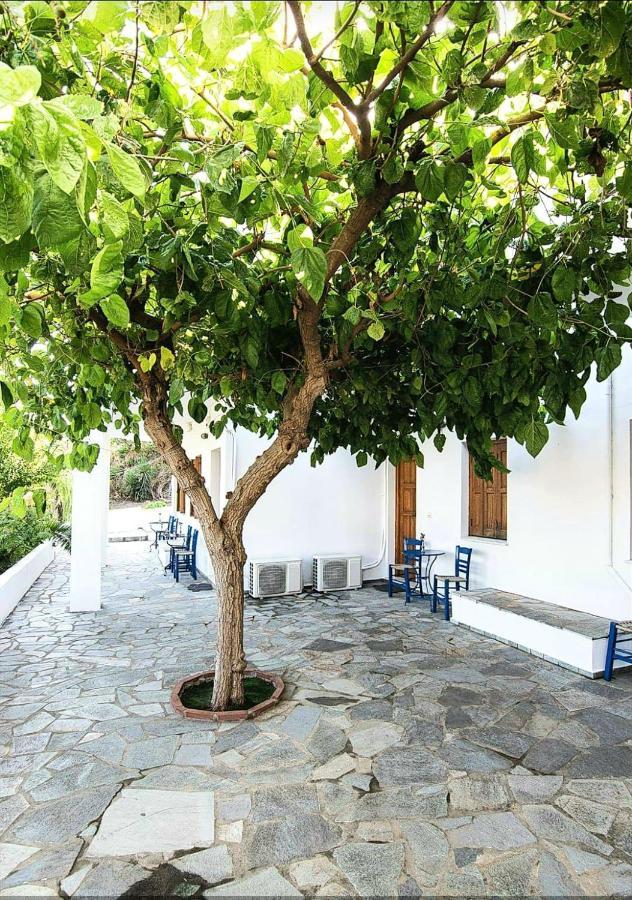 Διαμερίσματα Μαυρίκου Ελένη Σκύρος Εξωτερικό φωτογραφία